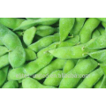 2015 Neue Ernte IQF Edamame Gefrorene Edamame Erbsen